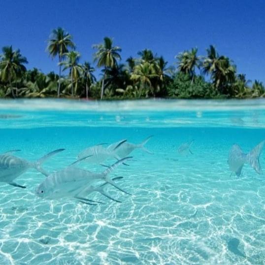 Hotel Ocean Breeze Maldives Thulusdhoo Zewnętrze zdjęcie