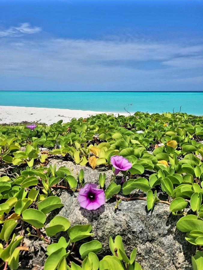 Hotel Ocean Breeze Maldives Thulusdhoo Zewnętrze zdjęcie